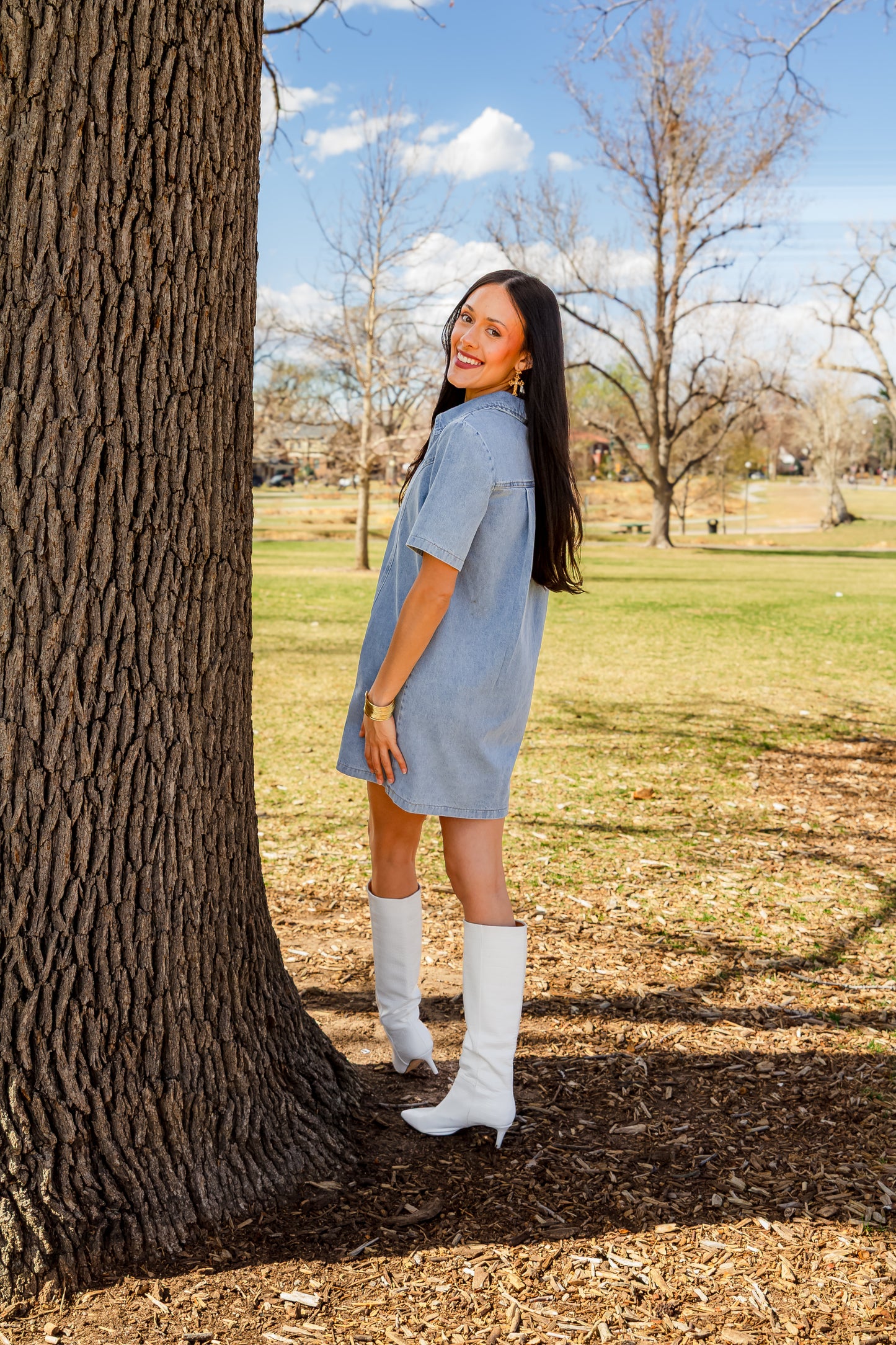 Collins Denim Mini Dress