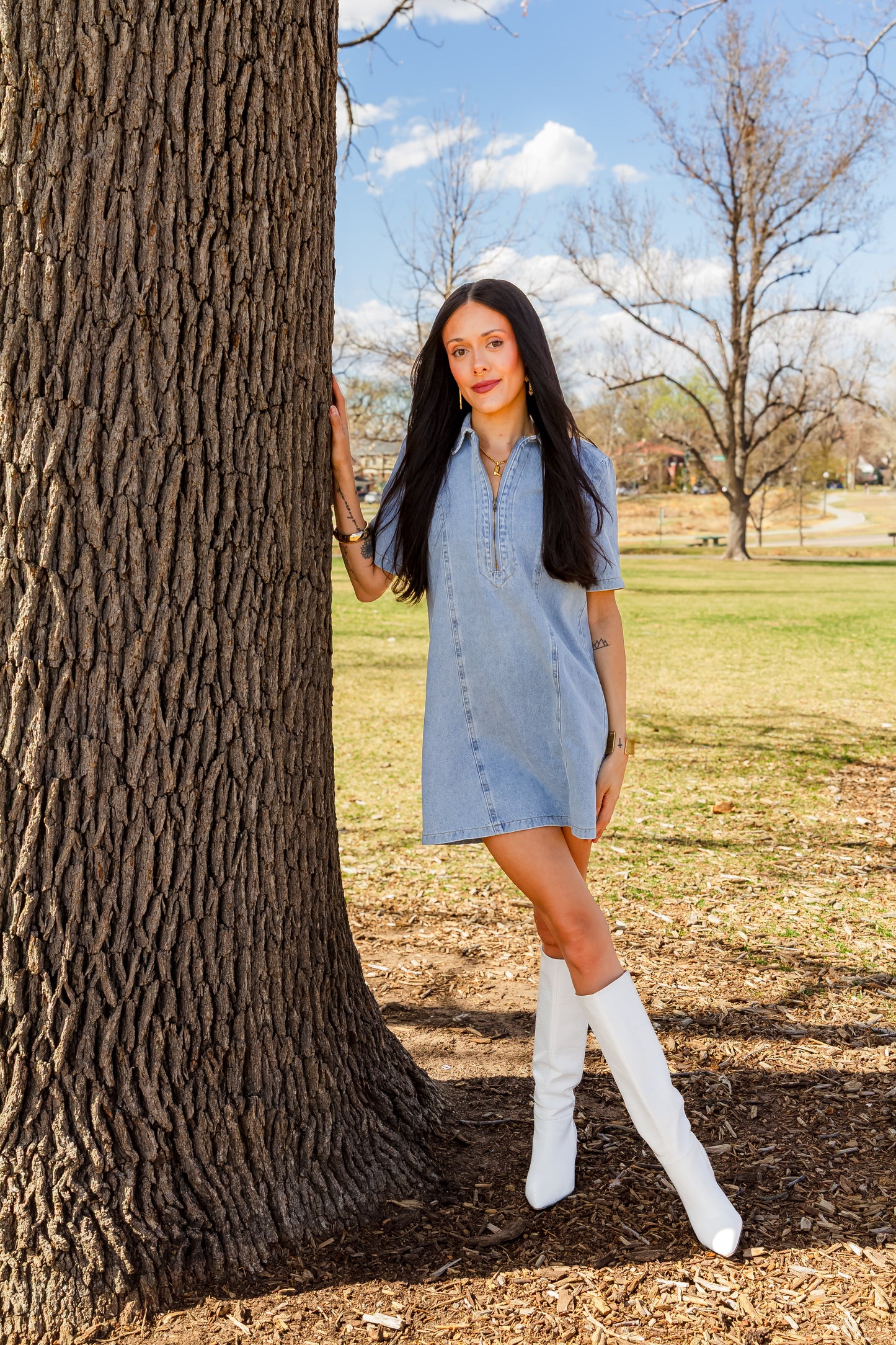 Collins Denim Mini Dress