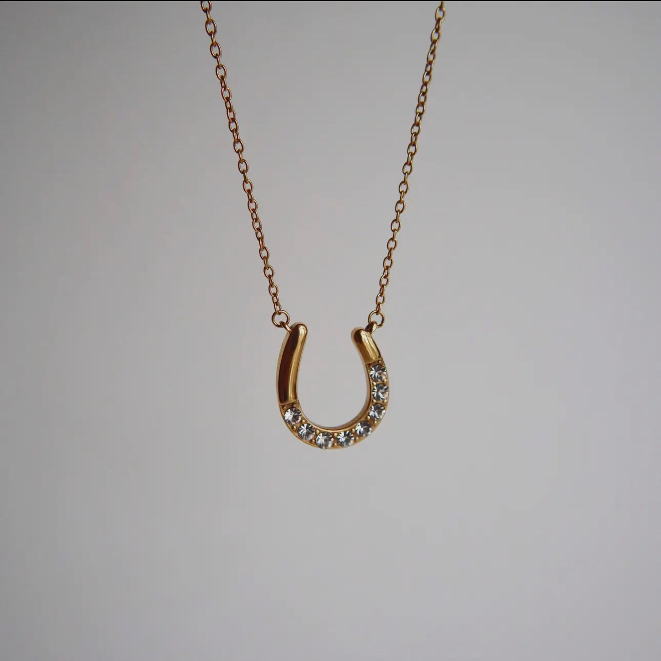 Horseshoe Necklace