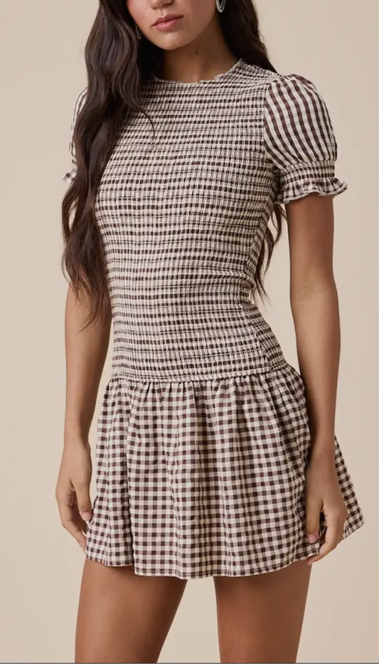 Posey Gingham Mini Dress